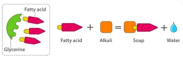 Cleansing Agents: Soaps & Detergents | Chemistry for JEE Main & Advanced