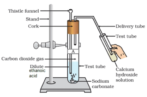 NCERT Exemplar: Carbon & its Compounds | Science Class 10