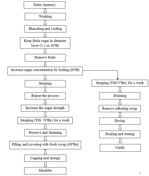 Processed Products from Fruits and Vegetables, Crop Process Engineering | Crop Process Engineering Notes - Agricultural Engg - Agricultural Engineering