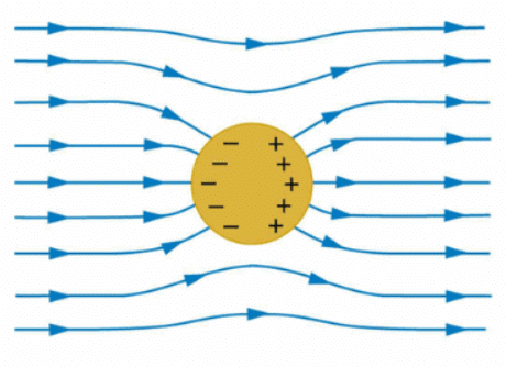 Electric Potential Energy, Dielectrics & Potential | Physics Class 12 - NEET