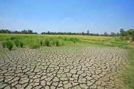 Land Degradation