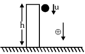 Kinematic Equations: Uniformly Accelerated Motion | Physics Class 11 - NEET