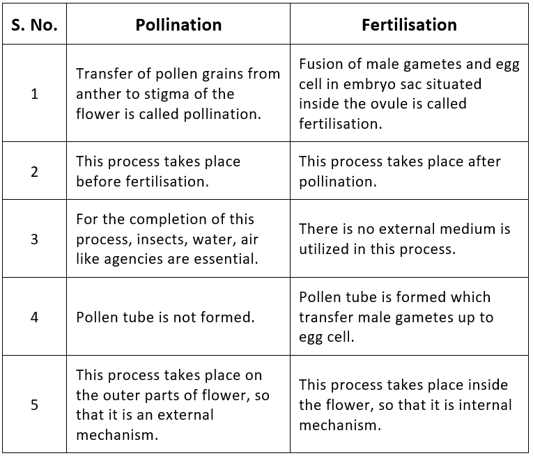 Fertilisation in Flowering Plants & Double Fertilisation | Biology Class 12 - NEET