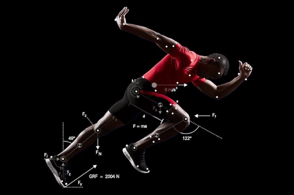 Fig: Biomechanics