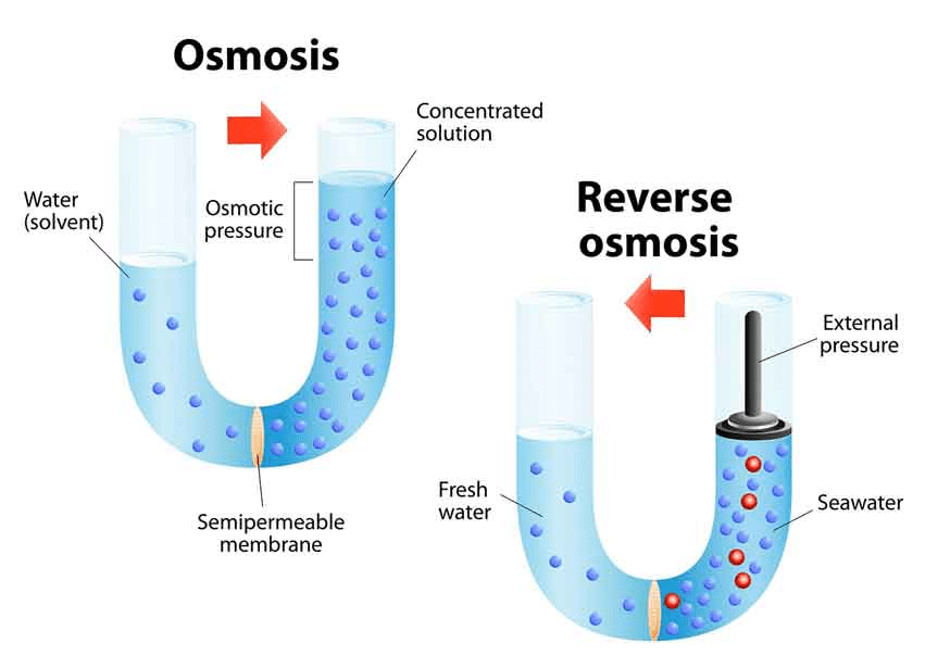 Osmosis, Osmotic Pressure & Van’t Hoff Factor | Chemistry Class 12 - NEET