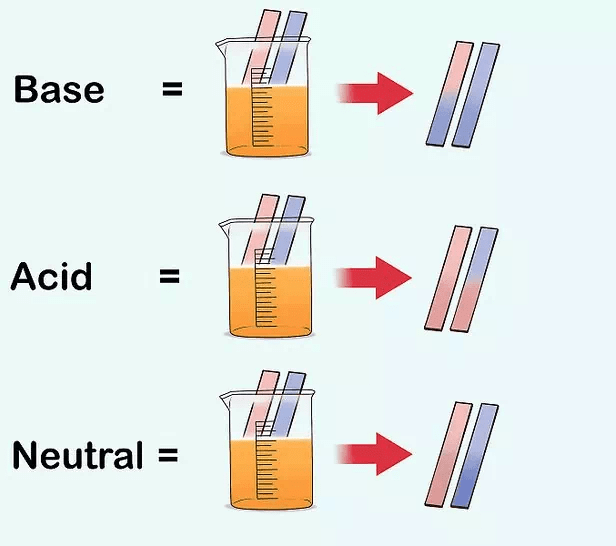 NCERT Solutions for Class 7 Science - Acids, Bases and Salts