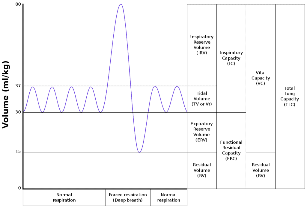 Vital Capacity Curve