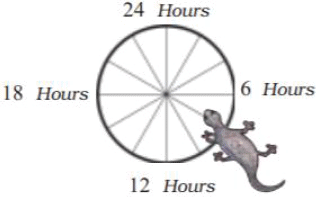 NCERT Solutions for Class 5 EVS Chapter 1 - Super Senses