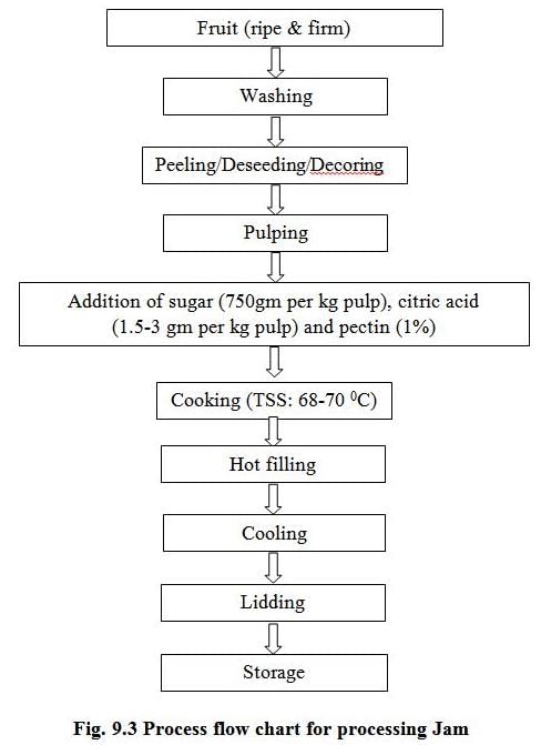 Processed Products from Fruits and Vegetables, Crop Process Engineering | Crop Process Engineering Notes - Agricultural Engg - Agricultural Engineering