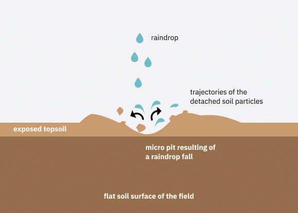 NCERT सारांश: मिट्टियाँ - 1 | यूपीएससी सीएसई के लिए भूगोल (Geography) - UPSC