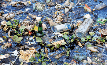 Fig: Non-degradable waste