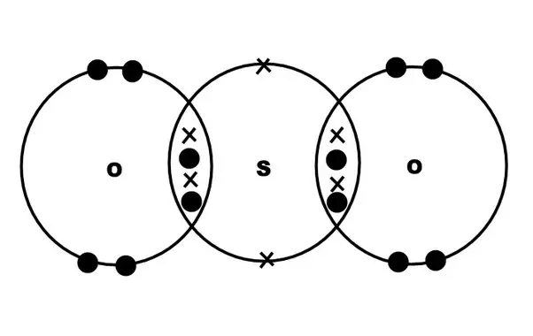 Types of Chemical Bonds | Physical Chemistry for NEET