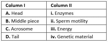 NCERT Exemplar: Human Reproduction | Biology Class 12 - NEET
