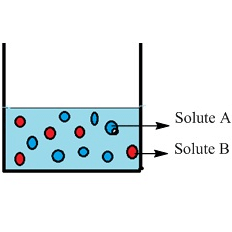 Expressing Concentration of Solution: Mole Fraction | Physical Chemistry for NEET