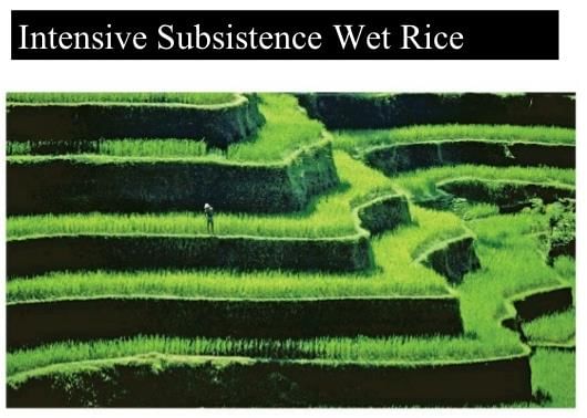 NCERT Summary: Land use & Agriculture - 1 | Geography for UPSC CSE