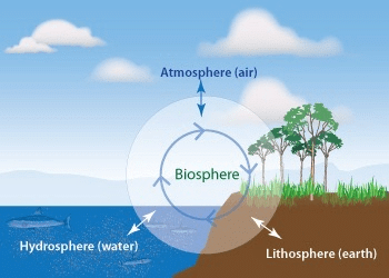 Biosphere & Working of Ecosystems: Environment & Disaster Management | Environment for UPSC CSE