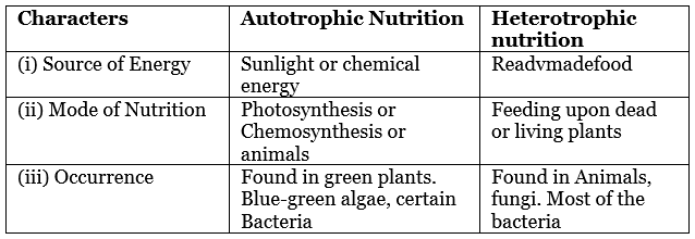 Life Processes: Nutrition & Metabolism | Science Class 10