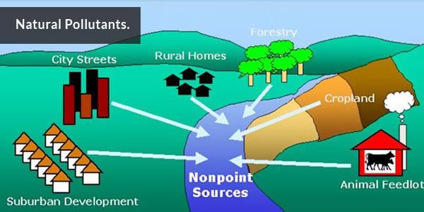 Shankar IAS Summary: Environmental Pollution | Famous Books for UPSC Exam (Summary & Tests)