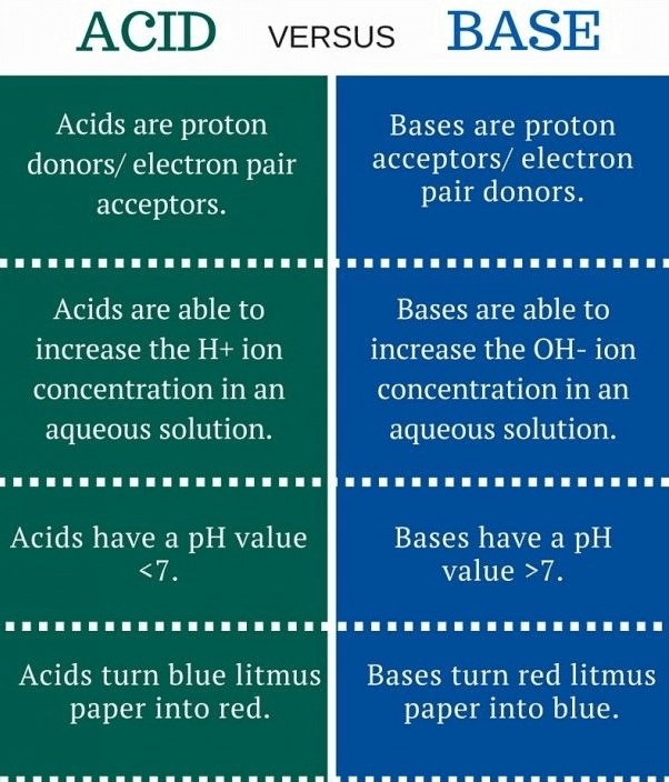 Acids, Bases and Salts - 1 Class 10 Worksheet Science Chapter 2