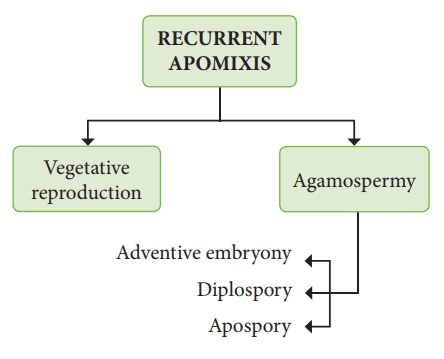 Asexual Reproduction in Plants | Biology for JAMB