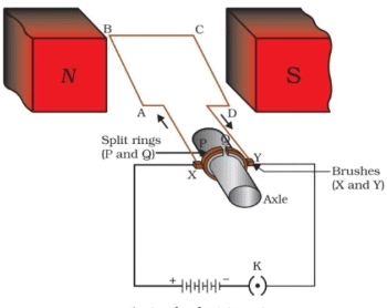 Class 10 Science: CBSE Sample Question Paper- Term I (2019-20) - 1 | Science Class 10