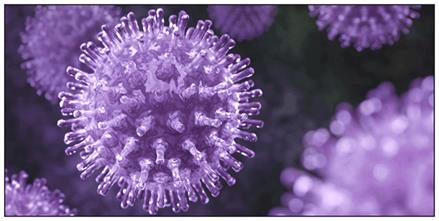 Viroids