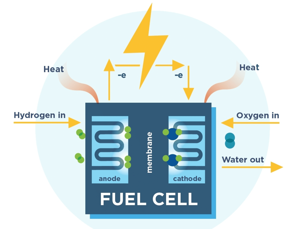Fuel Cells & Corrosion | Physical Chemistry for NEET