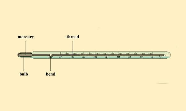 Clinical Thermometer