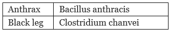 Economic Importance, Harmful Effects & Types of Bacteria | Additional Study Material for NEET