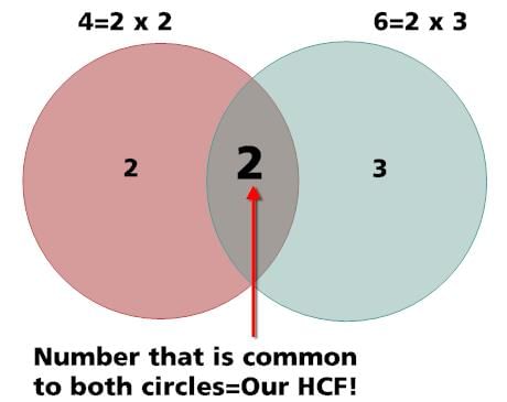 HCF & LCM Important Notes | General Test Preparation for CUET - CUET Commerce