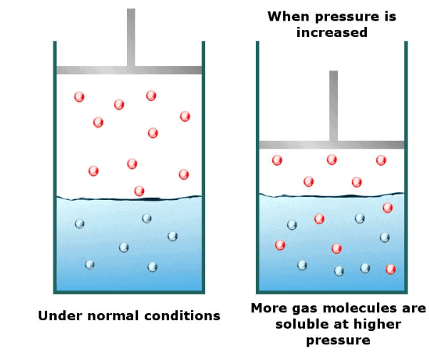 Henry`s Law: Effect of Pressure on Solubility of Gases in Liquids | Physical Chemistry for NEET