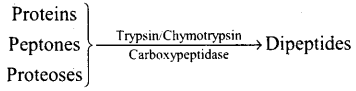 NCERT Exemplar: Digestion and Absorption (Old NCERT) | Biology for Grade 11