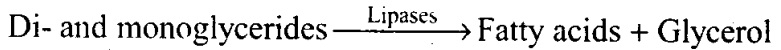 NCERT Exemplar: Digestion and Absorption (Old NCERT) | Biology for Grade 11