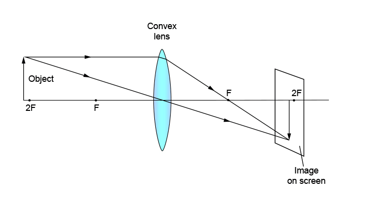 Class 10 Science - Previous Year Paper with Solutions- 2020