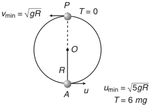 Centrifugal Force | Additional Study Material for JEE