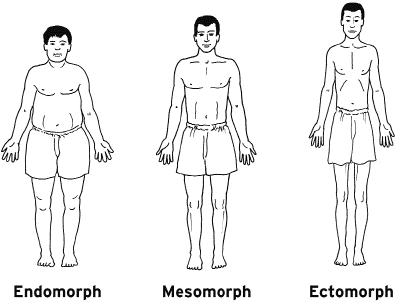 Fig: Body Type
