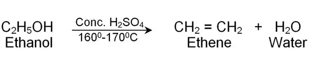 Class 10 Science Chapter 4 Previous Year Questions - Carbon and its compounds