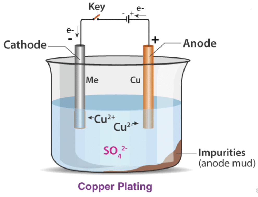 Class 8 Science: Sample Question Paper - 9 | Science Class 8