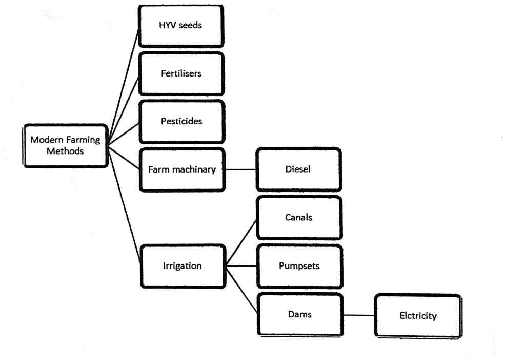 Class 9 Economics Chapter 1 Notes - The Story of Village Palampur