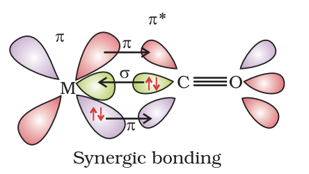 Bonding in Metal Complexes & Applications of Coordination Compounds | Chemistry for JEE Main & Advanced