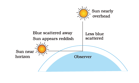 Class 10 Science - Previous Year Paper with Solutions- 2020