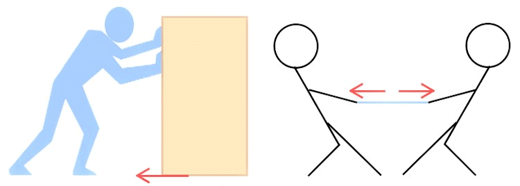 Short and Long Answer Questions: Exploring Forces | Science Curiosity Class 8 -  New NCERT