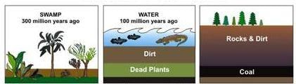 Formation of Coal