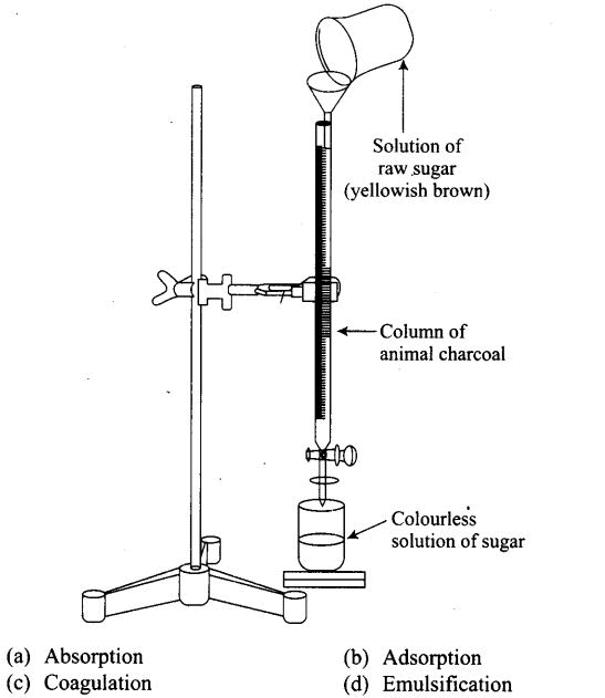 NCERT Exemplar: Surface Chemistry (Old NCERT) | Chemistry for JEE Main & Advanced