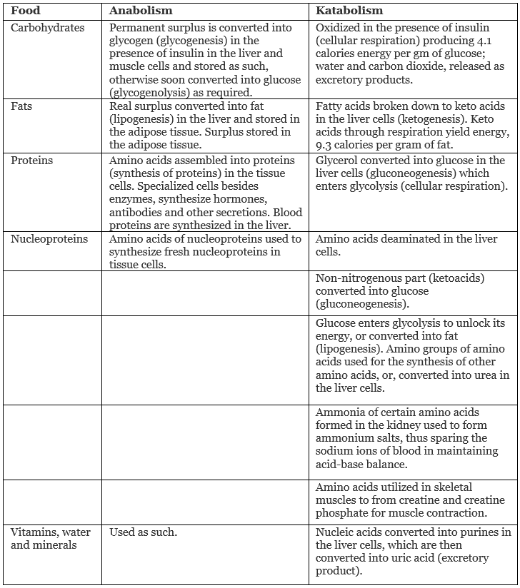 Nutrition, Digestion | Science & Technology for State PSC Exams - BPSC (Bihar)