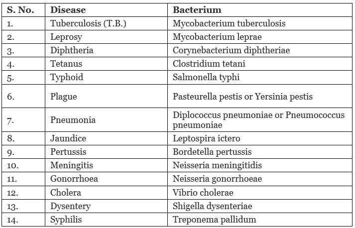 Economic Importance, Harmful Effects & Types of Bacteria | Additional Study Material for NEET