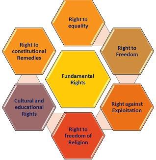 Fundamental rights