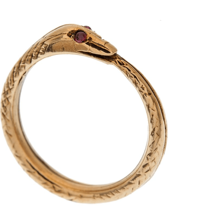 Snake biting its tail to form a ring: Symbol of Eternity. A ring has neither a beginning nor an end.