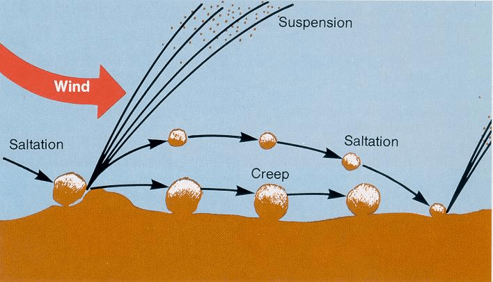 NCERT सारांश: मिट्टियाँ - 1 | यूपीएससी सीएसई के लिए भूगोल (Geography) - UPSC