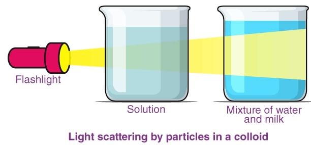Preparation, Purification & Properties of Colloidal Solutions | Physical Chemistry for NEET